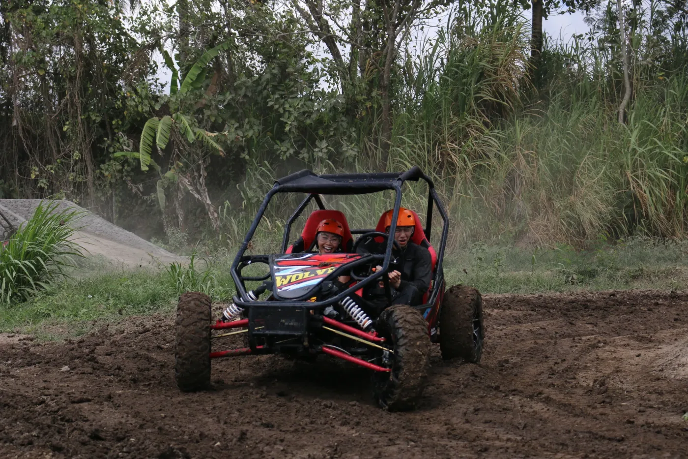 Buggy approaching on a shaded jungle track