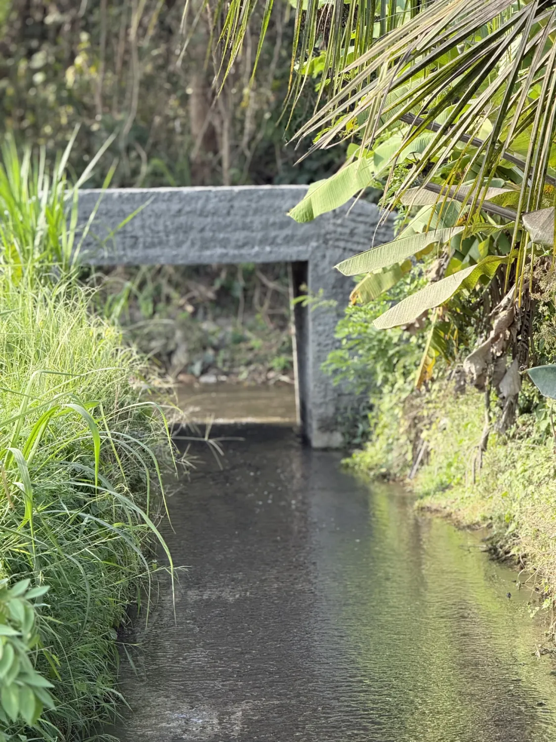 Bridge over a green route canal